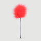 Feather for Tickling in Red Colour
