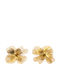 Awear Dangle Steel Gold Plated Earrings