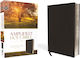 Amplified Holy Bible, Bonded Leather, Black - Zondervan - Leather / Fine Binding