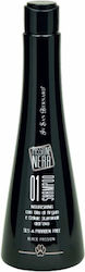 Iv San Bernard Schwarze Passion 01 Hundeshampoo Katzen 250ml Iv San Bernard Schwarze Passion 01 Hundeshampoo Katzen 250ml