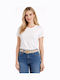 Women's Belt Beige SJ-JYD-2519-26BE-Beige