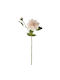 Light Pink Dahlia 20×62 Cm