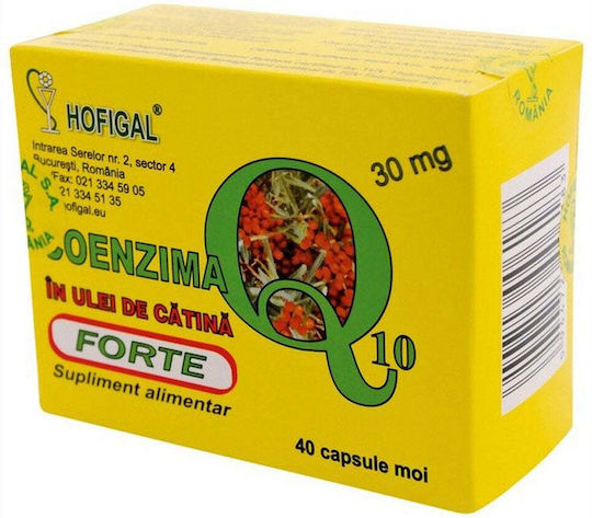 does l-carnitine spike insulin Frontiers