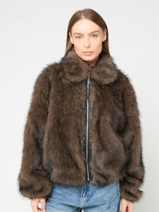 Short Women's Fur Brown