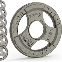 Set Plăci Pentru Antrenamentul De Forță Olimpice Metalice 2 x 15kg Φ50mm Cu Mânere Set Plăci Pentru Antrenamentul De Forță Olimpice Metalice 2 x 15kg Φ50mm Cu Mânere
