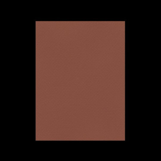 Favini Papier- und Kartonbestände 70x100cm 220gr Nr.11 Braune Schokolade