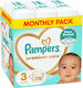 Pampers Tape Diapers Premium Care Monthly Pack ...