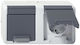 Gira Double Power Socket with Key Waterproof with Lid Gray