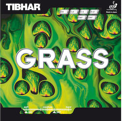 Tibhar Schläger-Gummi Ping Pong