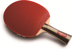 DHS Tischtennisschläger 3002 Fl DHS Tischtennisschläger 3002 Fl
