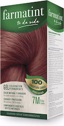 Farmatint Mahogany Blonde Farmatint Mahogany Blonde