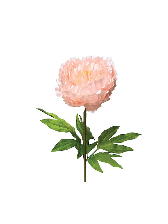 Σομον Κλαδι Παιωνια Κοτσανι Φ22x90cm 12/κιβ