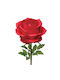 Red Giant Rose Branch XL Φ40x125cm 6/box