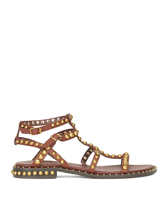 Ash Precious03 Women's Flat Sandals Brown