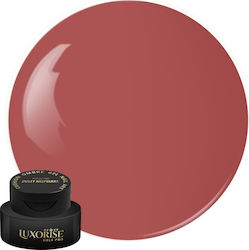 Gel UV Nagelkunst Babyboomer Luxorise Kissen Om...