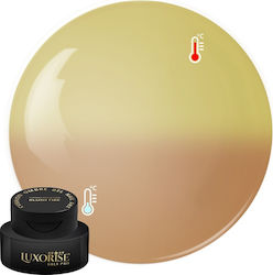 Gel UV Nagelkunst Babyboomer Luxorise Kissen Om...