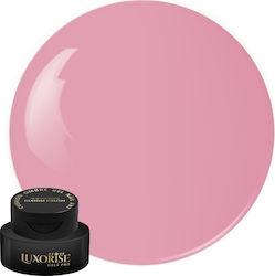 Gel Uv Nagelkunst Babyboomer Luxorise Kissen Om...