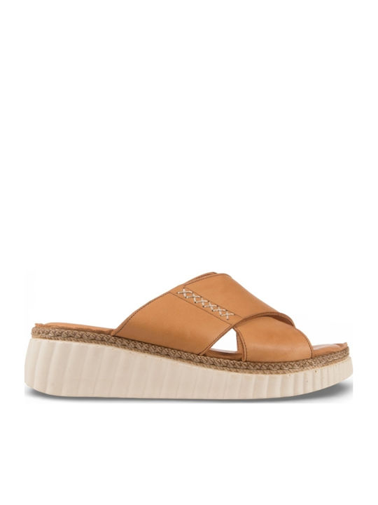 Air Anesis