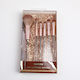 Professional Makeup Brush Set 6 Pieces