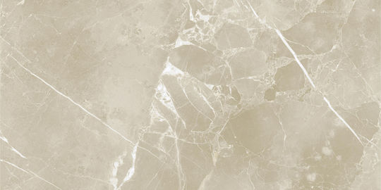 Pamesa Ceramica Floor Tile Interior Matte 120x60cm Cream
