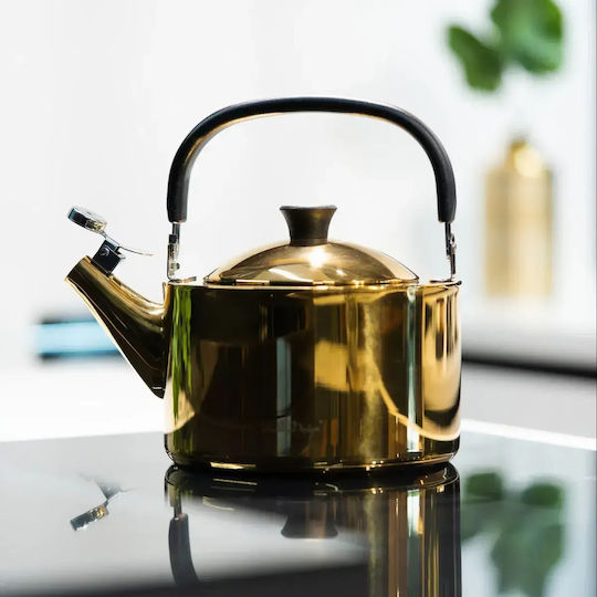 Vialli Design Βραστήρας Ανοξείδωτος 1500ml
