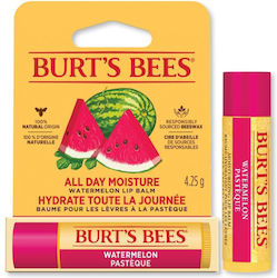 Burt's Bees Lippenpflege Balsam 4,25 g