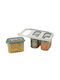 Joseph Joseph Set 3 Pieces General Use Vases with Lid & Stand 1300ml