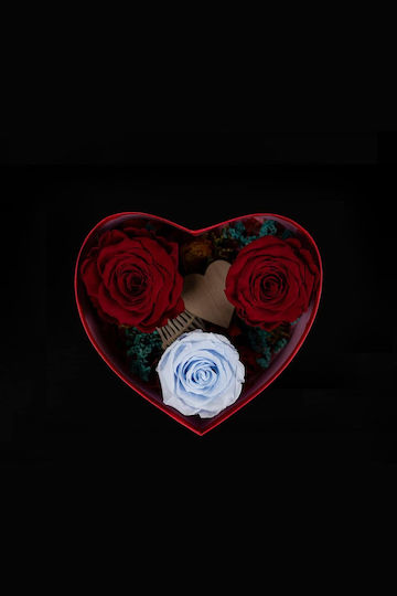 Arrangement Dried Roses Forever Roses Heart Box 15 18 7 5cm