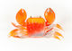 Black Diamond Artificial Bait Octopus Transparent