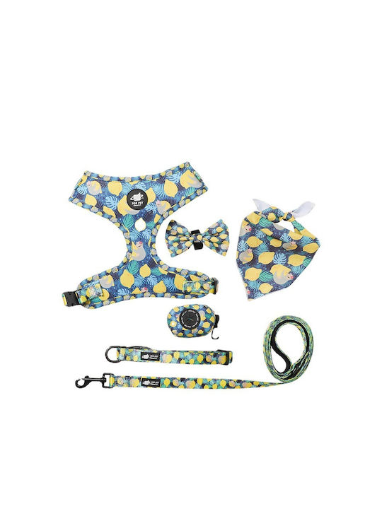 Großes Set 6 Teile mit Zitronen-Design