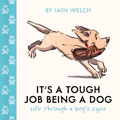 It's A Tough Job Being A Dog Life Through A Dog’s Eyes Iain Welch
