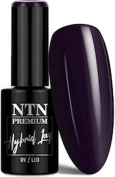 NTN Premium Gel Nail Polish 469 Black 5g