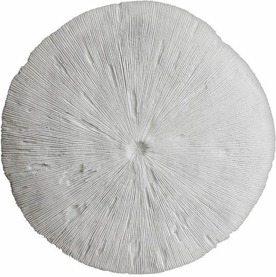 Decorațiune Coral Pentru Perete D.61cm