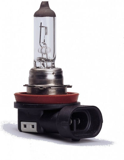 Trifa Λάμπα Αυτοκινήτου H11 Αλογόνου 12V 55W