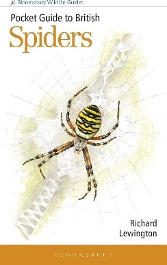Pocket Guide To British Spiders Richard Lewington Bloomsbury Wildlife