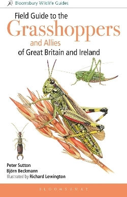 Field Guide To The Grasshoppers And Allies Of Great Britain And Ireland - Bloomsbury Publishing Plc - Hardback