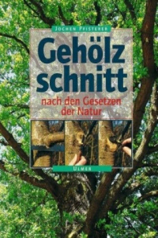Gehölzschnitt Nach Den Gesetzen Der Natur