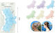 Hair Claw Clip with Flowers Transparent 8 cm – 6 Colours 1 Piece