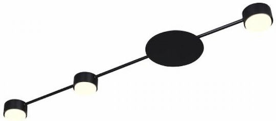 Spot Light 337 Spot Light 337