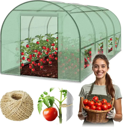 Seră De Grădină 2.5 X 4 M 10 M2 Plonos