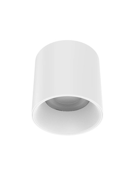 Gekas Lampa De Tavan Pentru Exterior Cu LED Încorporat În Culoare Albă 43-001017