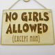 World Wood Semn Din Lemn „No Girl Allowed”