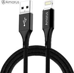Amorus USB-A to Lightning