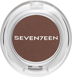 Seventeen Silky Shadow