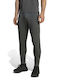 Herren-Sweatpants Jogginghose Anthrazit