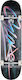 Globe Complete Shortboard