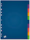 Oxford Divizoare Din Plastic Colorate A4 120 Microni Set 10 Culori Oxford