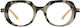 Oceanides Eyewear Ochelari De Citit +3.50 În Culoare Gri