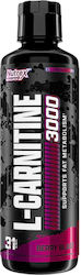Nutrex Liquid L-Carnitine 3000 Nutrex Liquid L-Carnitine 3000