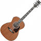 Ibanez Semi-Acoustic Guitar Opn Open Pore